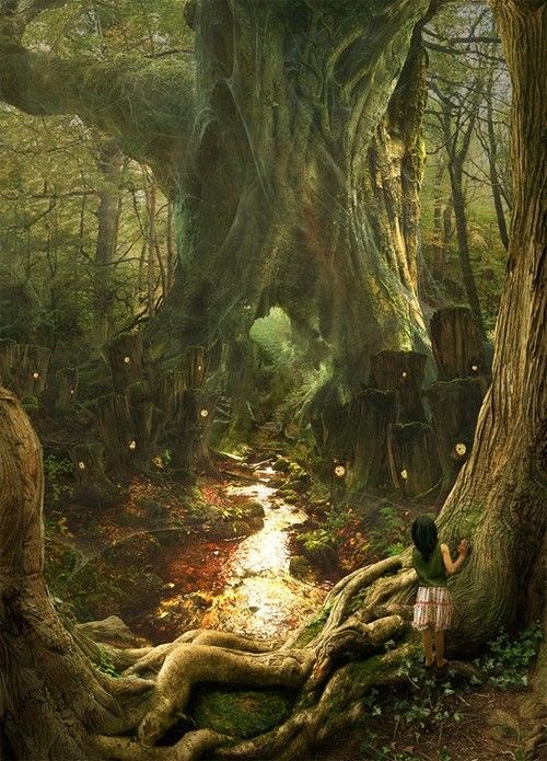 Enfant au pied d'un arbre ancestral