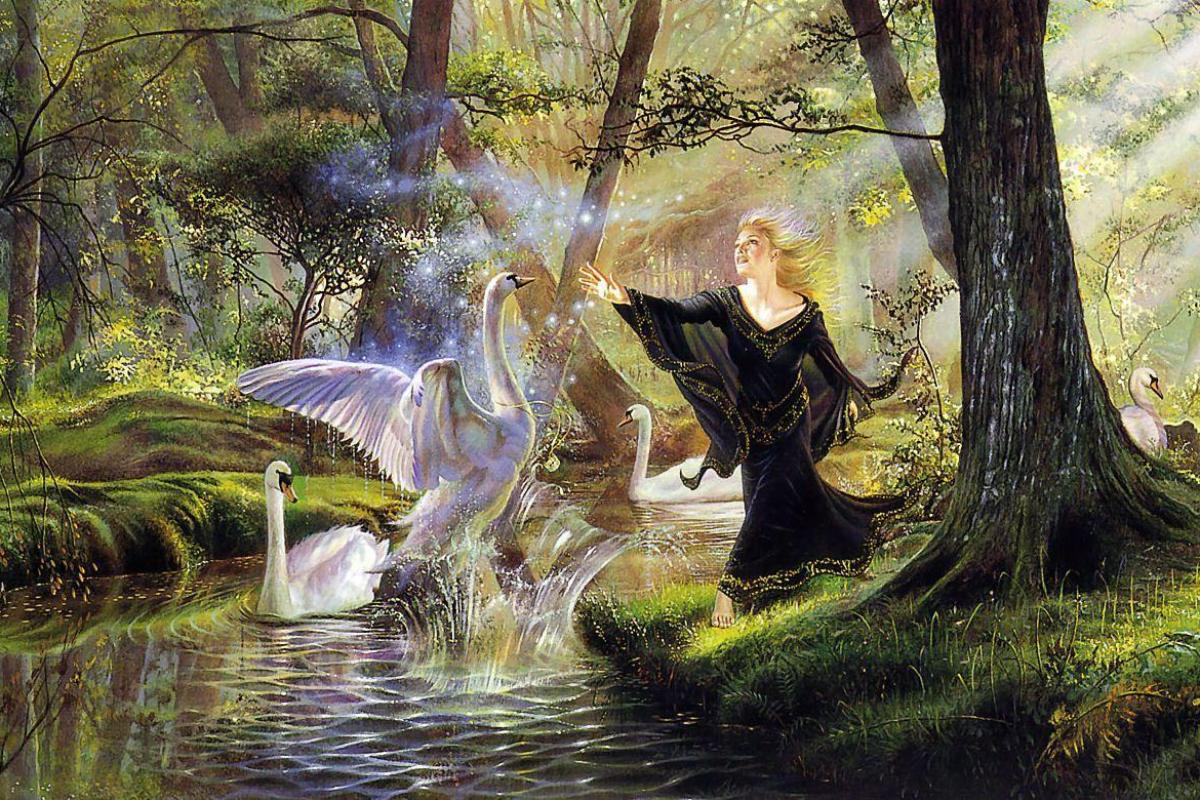 Femme et cygnes dans forêt
