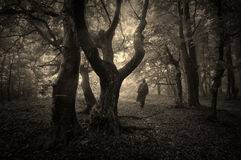 Ombre d'homme dans forêt nocturne